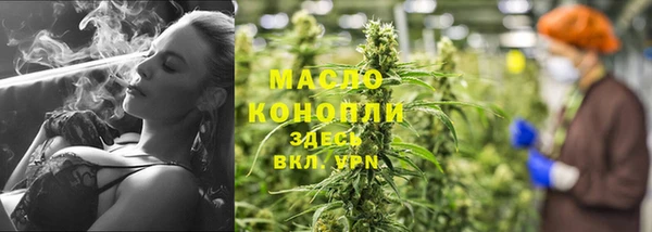 гашик Вяземский