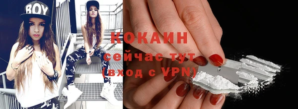 гашик Вяземский