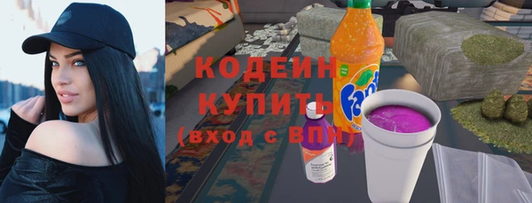гашик Вяземский