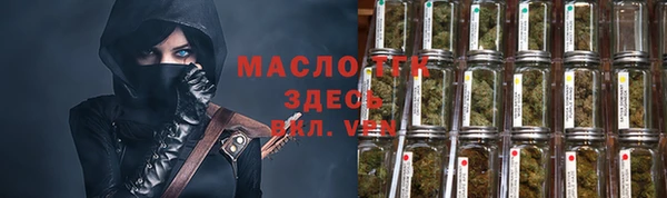 гашик Вяземский