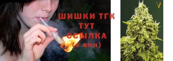 гашик Вяземский