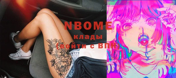 гашик Вяземский