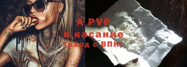 гашик Вяземский