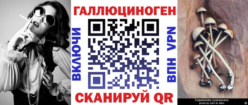 Галлюциногенные грибы Magic Shrooms  Купить где  Любань 